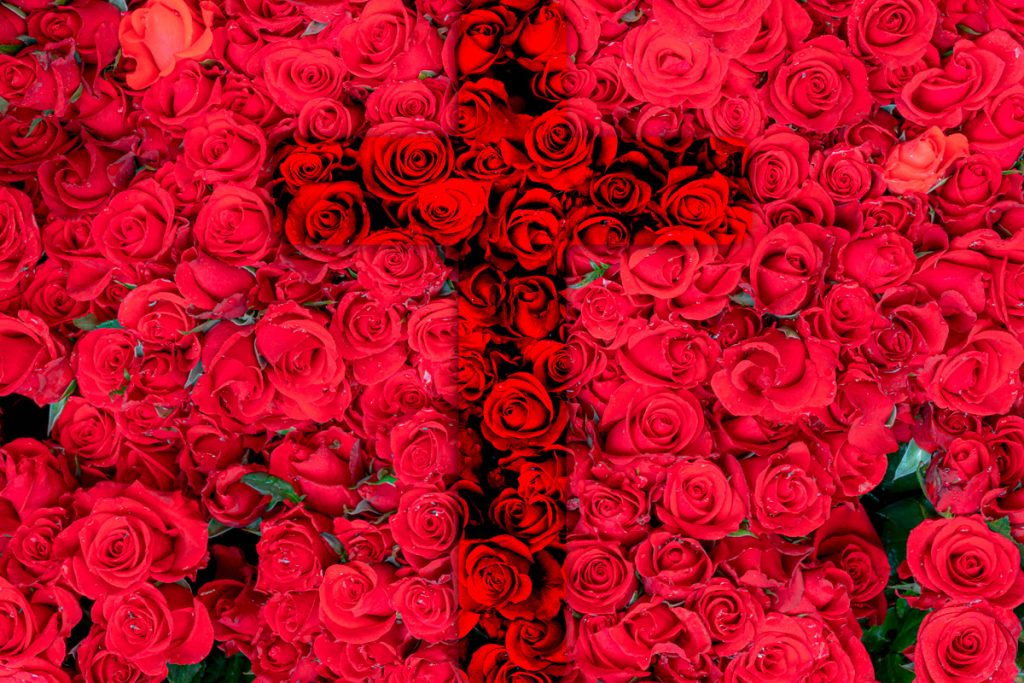 cruces de mayo hotel en cordoba