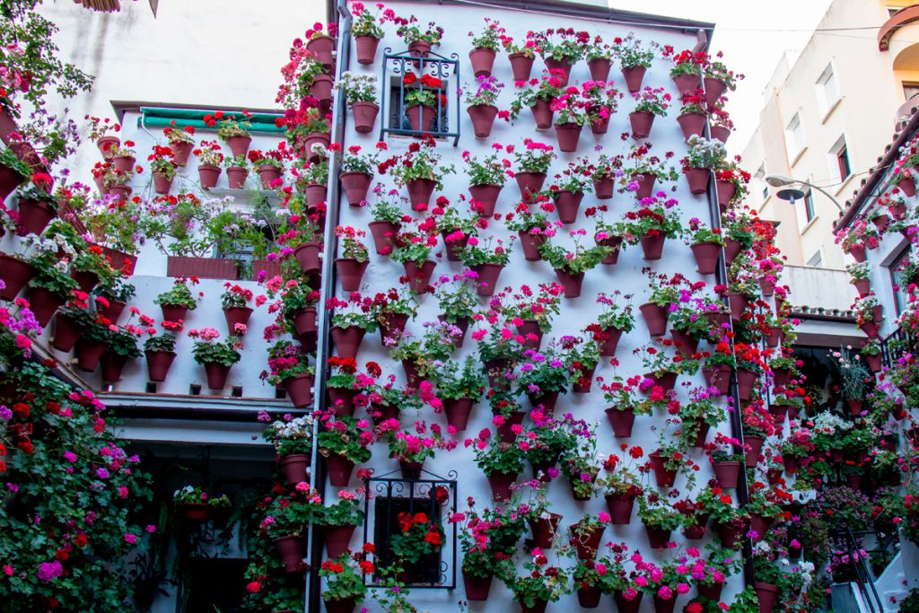 festival internacional de las flores de córdoba